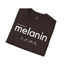 Load image into Gallery viewer, Chemistry of Melanin - Softstyle T-Shirt
